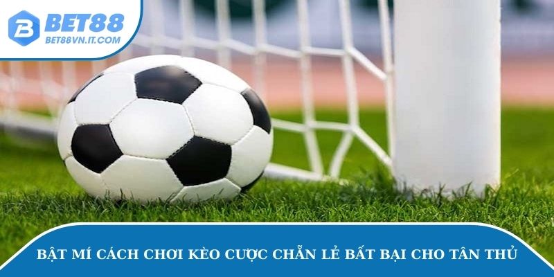Kèo Chẵn Lẻ – Mẹo Chơi Cá Cược Bách Thắng Bách Trúng Chia sẻ cách chơi kèo chẵn lẻ cho bet thủ từ A đến Z