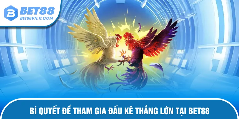 Đá Gà Bet88 Bí quyết chơi đấu kê giành chiến thắng lớn