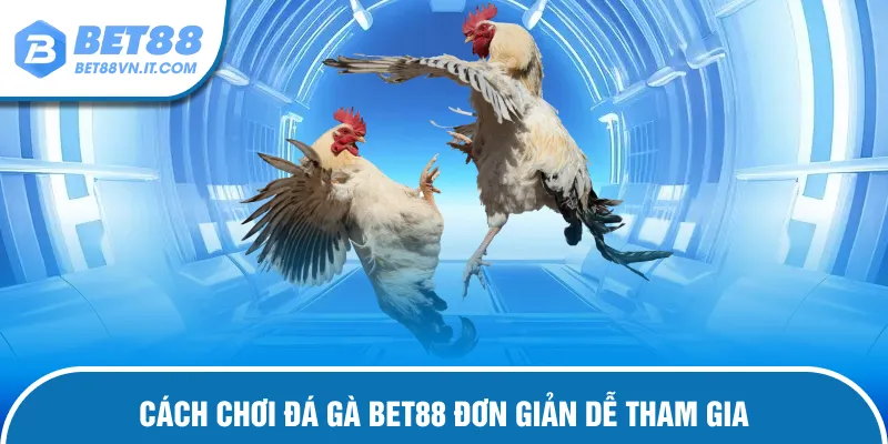 Đá Gà Bet88 Hướng dẫn cược đấu kê đơn giản