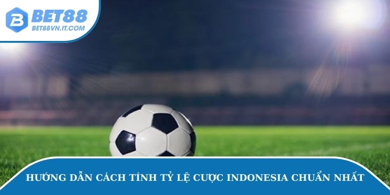 Tỷ Lệ Cược Indonesia - Chiến Lược Bắt Kèo Hiệu Quả Dễ Hiểu Hướng dẫn cách tính tỷ lệ cược Indonesia chuẩn nhất