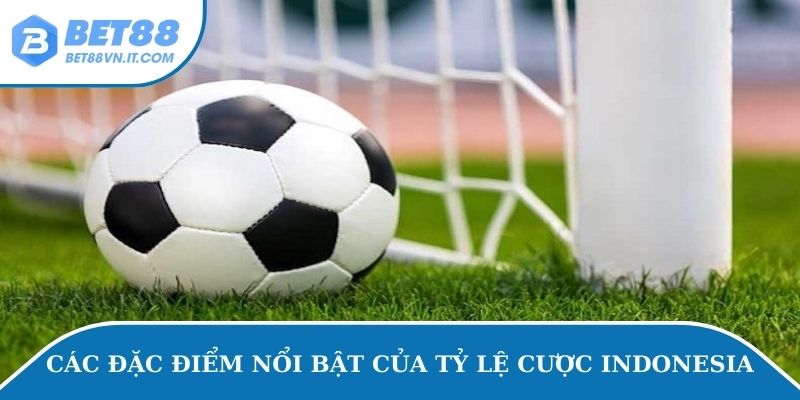Tỷ Lệ Cược Indonesia - Chiến Lược Bắt Kèo Hiệu Quả Dễ Hiểu Các đặc điểm nổi bật của tỷ lệ cược Indonesia