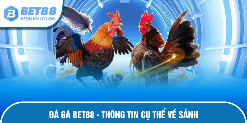 Đá Gà Bet88 Thông tin chi tiết nhất về đá gà Bet88