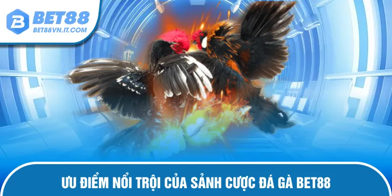 Đá Gà Bet88 Ưu điểm nổi trội của sảnh cược đá gà Bet88